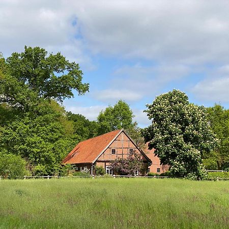Ferienhaeuser Weitblick Gilten Buitenkant foto