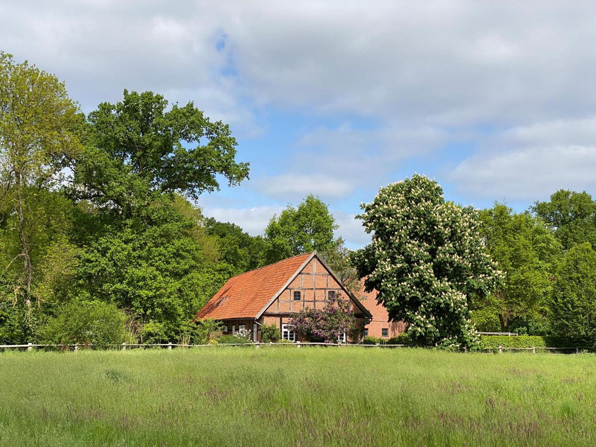 Ferienhaeuser Weitblick Gilten Buitenkant foto