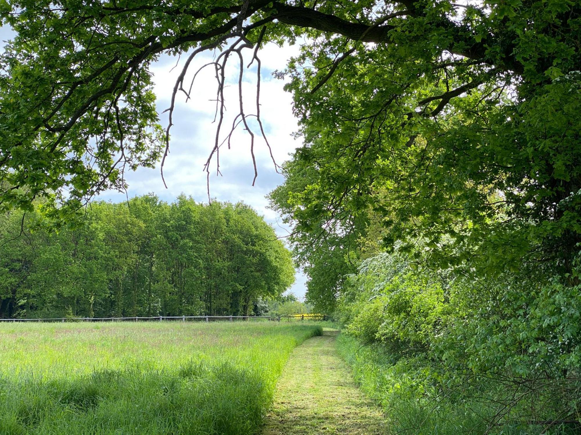 Ferienhaeuser Weitblick Gilten Buitenkant foto